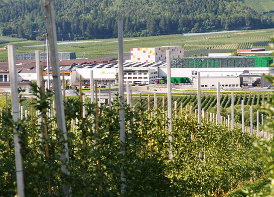 Beautiful landscape: the climatically preferred alpine valley Vinschgau offers the optimal conditions for apple growing Beautiful landscape: the climatically preferred alpine valley Vinschgau offers the optimal conditions for apple growing